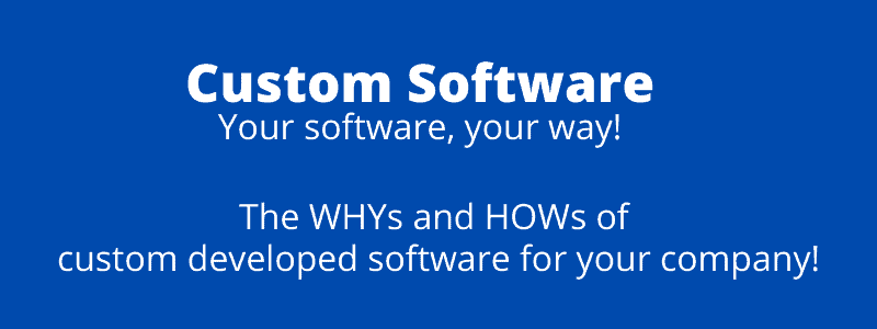 customer software development