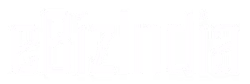 EbizIndia Consulting