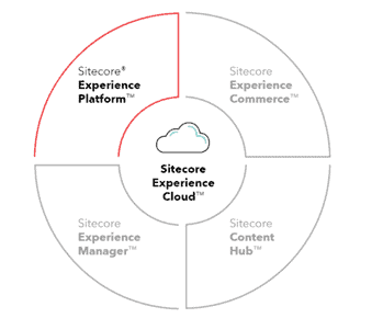 Sitecore maintenance service 